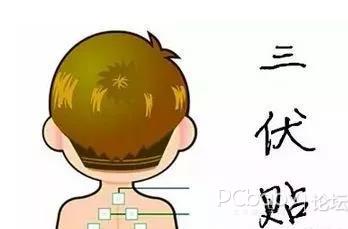 1、三伏貼有用嗎？效果好嗎？