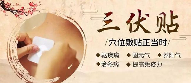 1、三伏貼要連續(xù)貼幾天