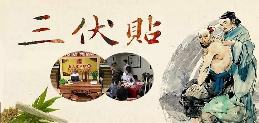 2、什么是三伏貼？三伏貼的作用？